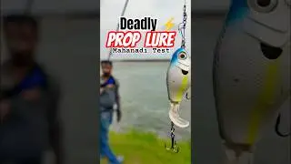 Deadly Prop Lure for Indian Rivers | Wallago Attu Strike in Fast Current!