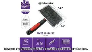 Paw Brothers Extra Long Slicker Brush Review: Is It Worth the Hype for Grooming?