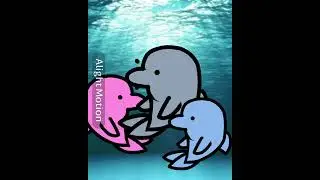 Dolphin man