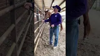 Safety Awareness Series Episode 2