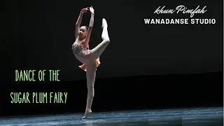 Dance of the Sugar Plum Fairy
