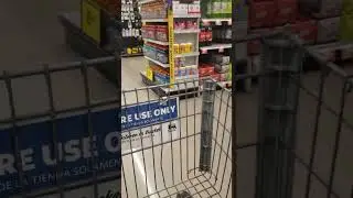 Fake service dog in Food Lion!