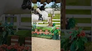 Spring Fling is proudly for sale! More info on insta/tiktok!❤️ #horse #equestrian #fyp#omg #horses