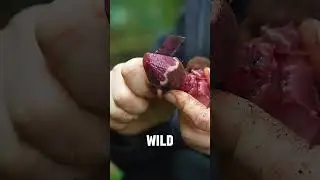 This Rare Parasitic Plant Can&rsquo;t Be Farmed