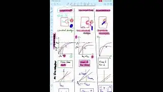 &ldquo;Decoding Enzymes: How Inhibition Shapes Vmax, Km, and Lineweaver-Burk Graphs&rdquo;
