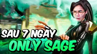 Sau 7 Ng&agrave;y Only Sage Th&igrave; T&ocirc;i C&oacute; G&igrave;