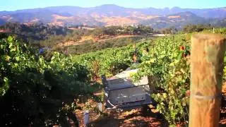 JUSTIN Winery Reserve Cabernet Sauvignon
