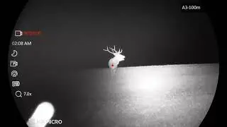 hungary deer hunting 2