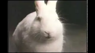 Classic 1983 Cadbury Egg Bunny Commercial