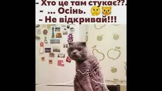 Доброго вечора, ми з України🇺🇦 | Кліп PROBASS ∆ HARDI - Where are you from