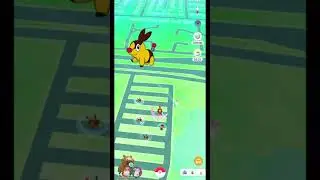TEPIG COMMUNITY DAY | 7/3/2021