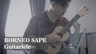 Exotic Borneo Sape on Guitarlele