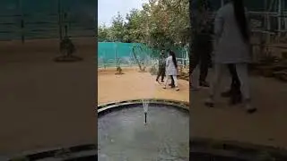 Rangsa para Cleanest Village in Assam#rangsapara#cleanestvillage#assam #shortvideo
