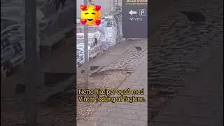 Netto hj&aelig;lper ogs&aring; med vinter fodring af fuglene.