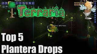Terraria Top 5 Plantera Drops | Terraria Countdown