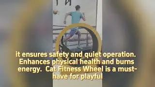 Cat Fitness Wheel 