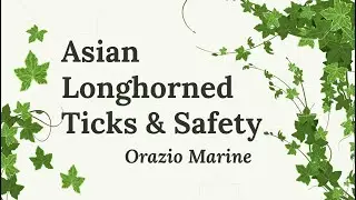 Asian Longhorned Ticks, Surveillance, and Safety