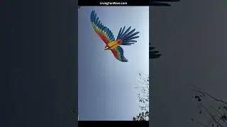 Детский динамический ручной воздушный змей,с легкостью наслаждайтесь развлечениями на свежем воздухе
