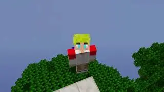 Tubbo & TommyInnit | How To BLOCK CLUTCH In Skywars (ft. Shmeado)