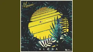 Aloha (The Geek x Vrv Remix)