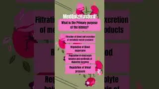 Can you figure out the importance of the kidney? #Kidney #RenalHealth