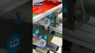 Automatic Cups Screen Printing Machine from China