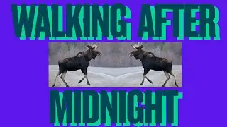 Midnight Moose : Walking After Midnight Searching for You