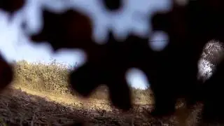Teaser Peugeot 208 Type R5