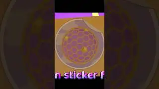 SECRET STICKERS IN THE HIVE SUPER BEAR ADVENTURE WALKTHROUGH #shorts #rktno