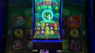 #foryou #casino #bonustime #casinobonus #dog #slot #freegames #clips
