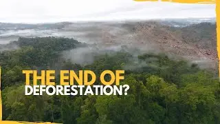 The COP26 Deforestation Promise is Doomed to Fail - HERE&rsquo;S WHY