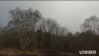 Woodcock shooting Ireland 2025/2026