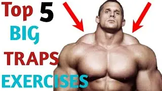 5 best affective exercise for trapes