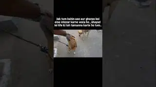 yahi toh woh pal hai jo tum chahte ho naa!