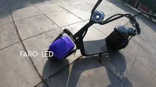 ECOMOOD PER&Uacute; MODELO FULL 2019
