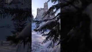 Private Guided Tour in Transylvania: Visit Bran Castle !