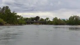 Fly Fishing Report for the Lower Sacramento River 7-10-22