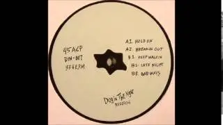45ACP - Breakin Out