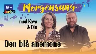 Den blå anemone // Morgensang