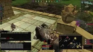erodach fight