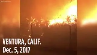 Ventura fire video: People trying to save building get up close to flames