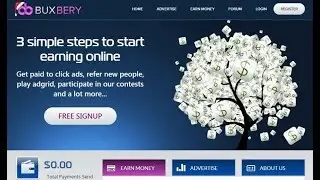 PTC Evolution Script Bux Bery Template : Bux Bery Template For PTC Evolution Script : 05