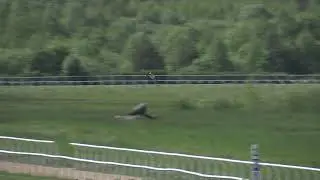 20210530 Kvallopp 1 G&ouml;teborg Galopp