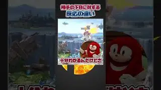 【スマブラSP】相手ファイターの下Bに対する反応の違いwithナックルズ#スマブラsp #スマブラ #大乱闘スマッシュブラザーズ #あるある #共感 #小ネタ