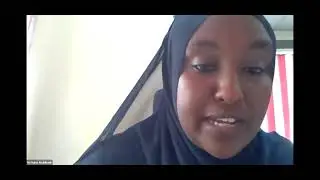 Webinar: PHC Digital Solutions: Lessons from midwives' material ultrasound screening pilot project