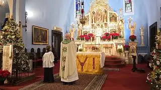 Our Lady of Czestochowa Sunday Mass - January 11, 2026