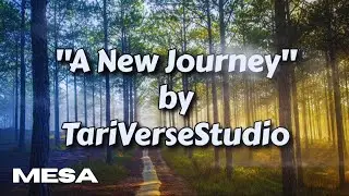TariVerseStudio - A New Journey (Een Nieuwe Ries) English/ Dutch Graduation Song
