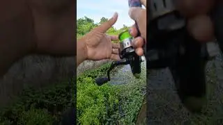 Mancing dapat apa? pengalaman nya doang #mancing #macingdasaran #mancingmania #dasaran #fishing