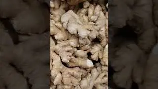 Widely Used in Cooking and Traditional Medicine #shorts #ginger #food #healthy #plant