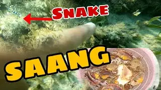 SAANG ADVENTURE | FIRST TIME MAG UNDER WATER | LonZ-i TV